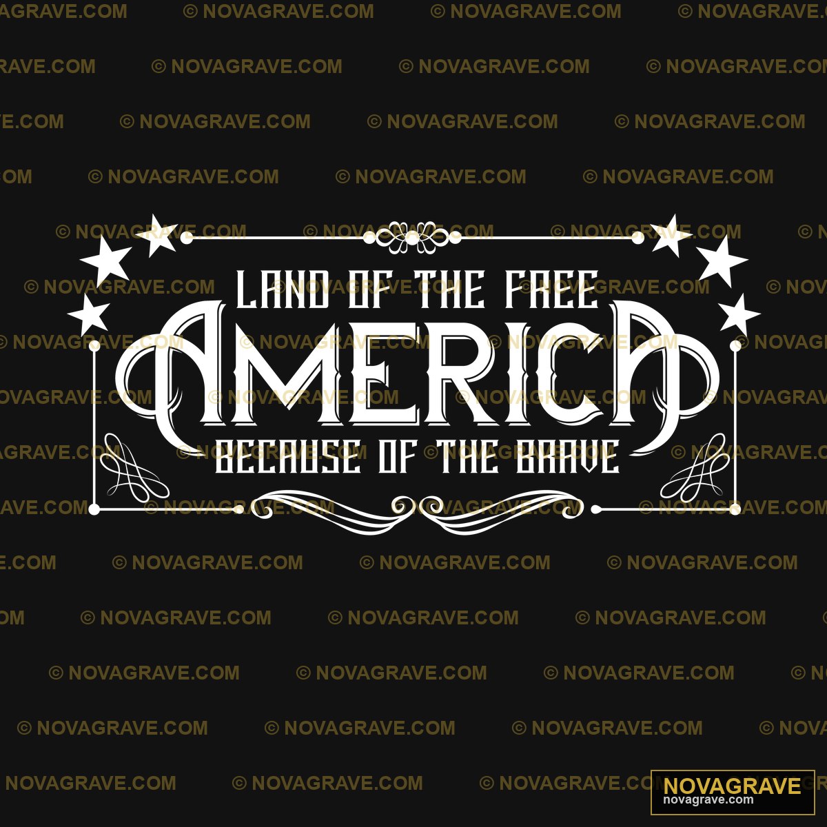 Land The Hero Because Of The Brave Patriotic Military - DTF Transfer Design