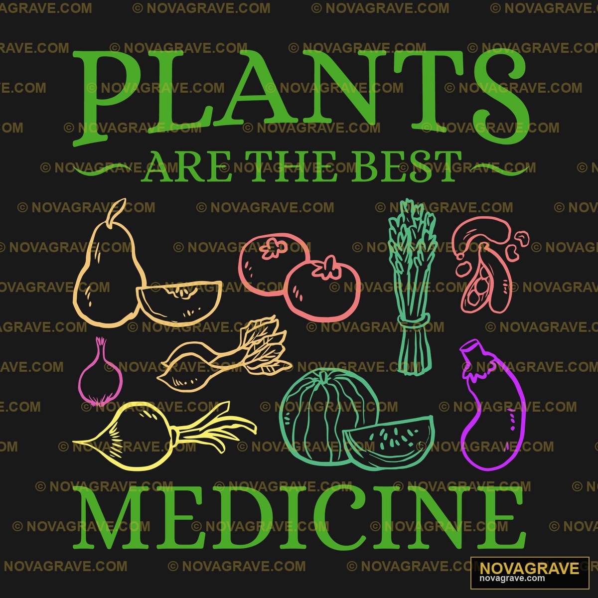 Plants Are The Best Medicine Other Designs - DTF Ontwerp