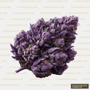 Purple Haze Strain Other Designs - Design DTF