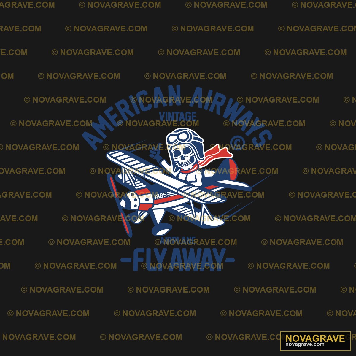 The American Airways Logo Other Designs - DTF Transfer Design