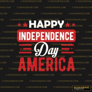 The Logo For Independence America Patriotic Military - DTF Ontwerp