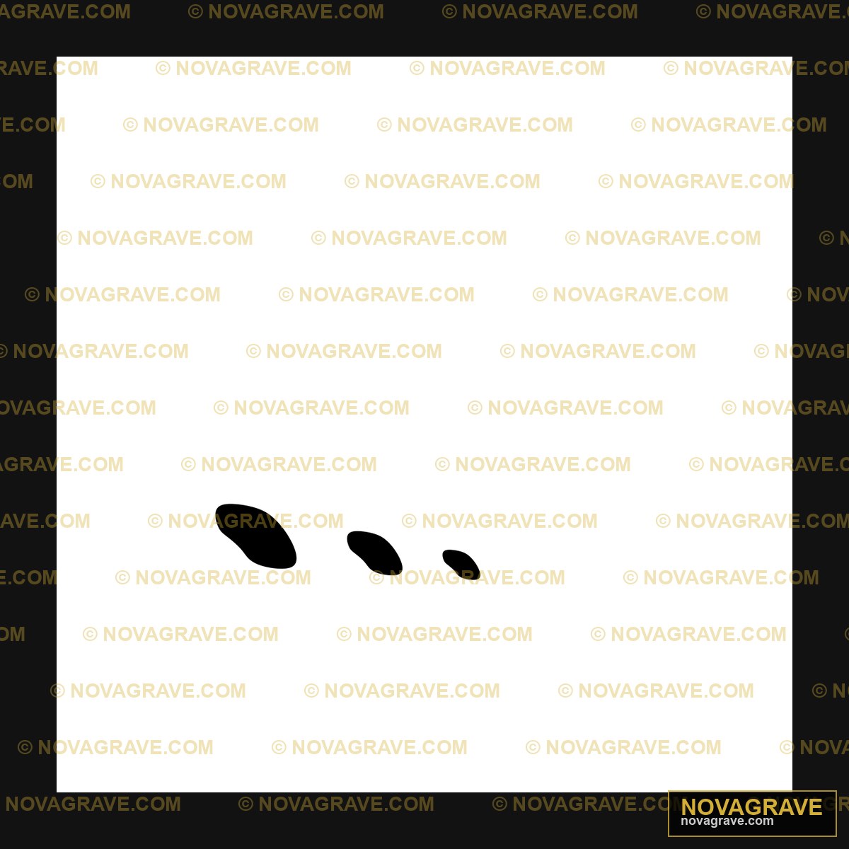 Black Footprints DTF Design PNG - Animal Tracks Clipart