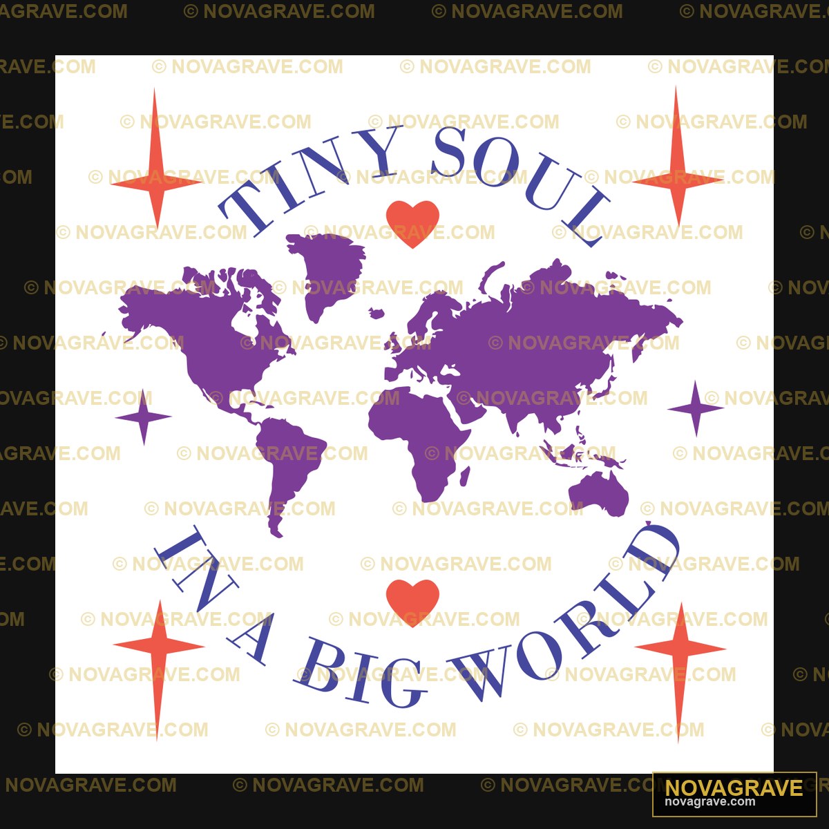 The Logo For The Tiny Soul In The World Other Designs 2 - DTF Transfer Design