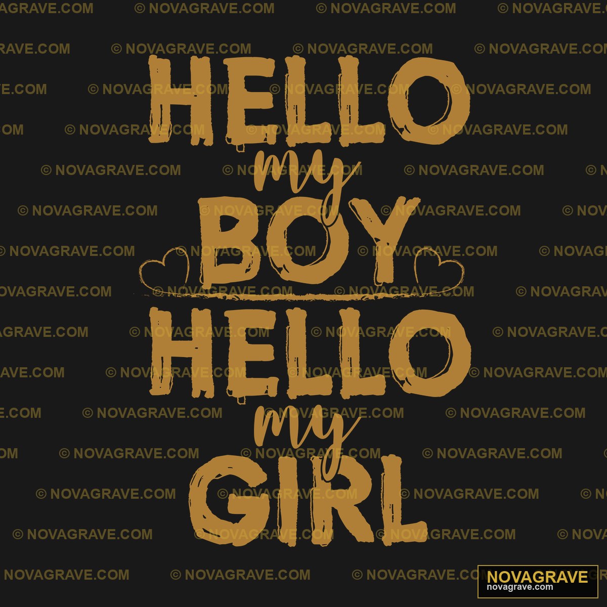 The Words Hello Typography Slogans - DTF Transfer Design