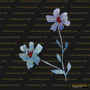 Two Flowers With Blue And Red Petals Nature Botanical - DTF Ontwerp