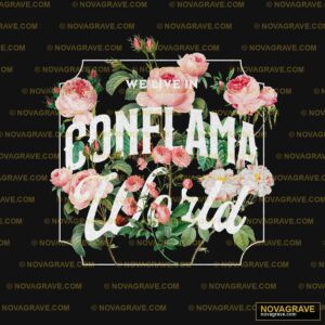 Were N Portland Rose Other Designs - Design DTF
