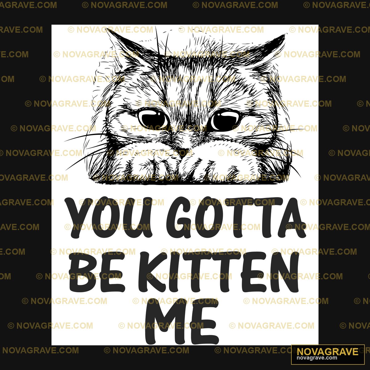You Gotta Be Kitten Me Animals Wildlife - DTF Transfer Design
